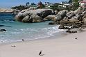 Simon's Town (10)